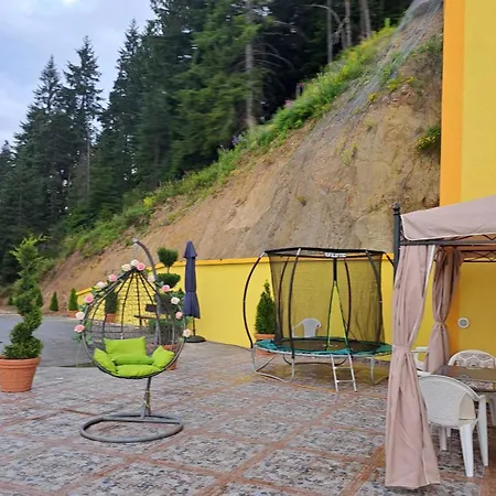 Guest house Safi 3*